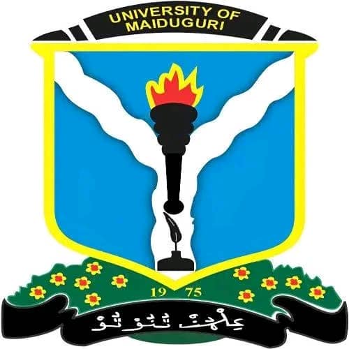 The Destination I Never Chose: How Maiduguri Became Part of My Story IMG 20260920 WA0001